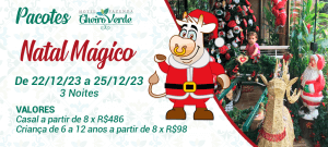 pacote de natal